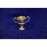 An Edward VII silver twin handled trophy cup with engraving W.N.F.H Puppy Show 1904 First Prize '
