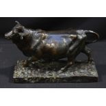 An antique bronze study of a prize bull, raised on a naturalistic base, 26 x 17cm.