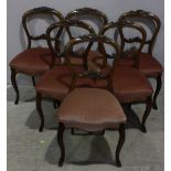 A set of six Victorian stained walnut standard dining chairs, with carved open balloon backs,