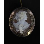 An oval shell-carved cameo brooch, carved as a lady in profile with flowers in her hair, a bird with