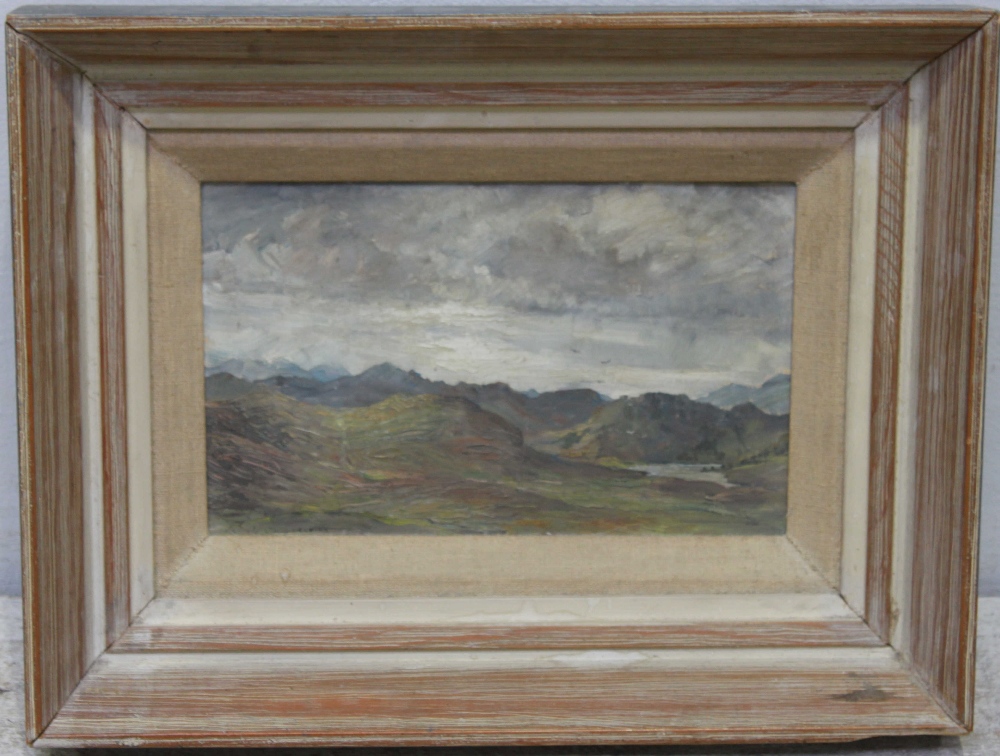 20th Century British School, landscape study with mountains, indistinctly signed, oil on canvas,