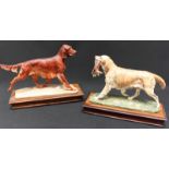 Two Albany porcelain models of dogs, a Retriever and Red Setter, modelled by Neil Campbell, on