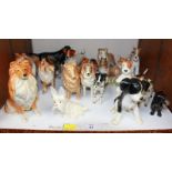 SECTION 31. A collection of nineteen Beswick and other model dogs.