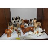SECTION 25. A collection of nineteen Beswick and other model dogs.
