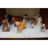 SECTION 11. A collection of thirteen Beswick model dogs.