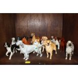 SECTION 33. A collection of fourteen Beswick and other model dogs.