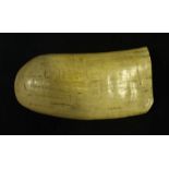 A 19th century sperm whale tooth, 11.5cm x 5.5cm