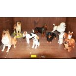 SECTION 42. A collection of nine Royal Doulton model dogs.