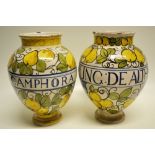 A pair of Breton Faience drug jars decorated apples and pears, for Ung De Alth and Campara. 8.