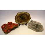 Three specimen fossils, comprising a thin cross section, 8in (20cm), a section of rock with lumps of