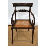 A George IV rosewood elbow chair, the back with a pierced foliage florette carved horizontal splat