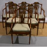 A set of six Sheraton Revival satinwood elbow chairs, the pierced splat backs with painted swags and