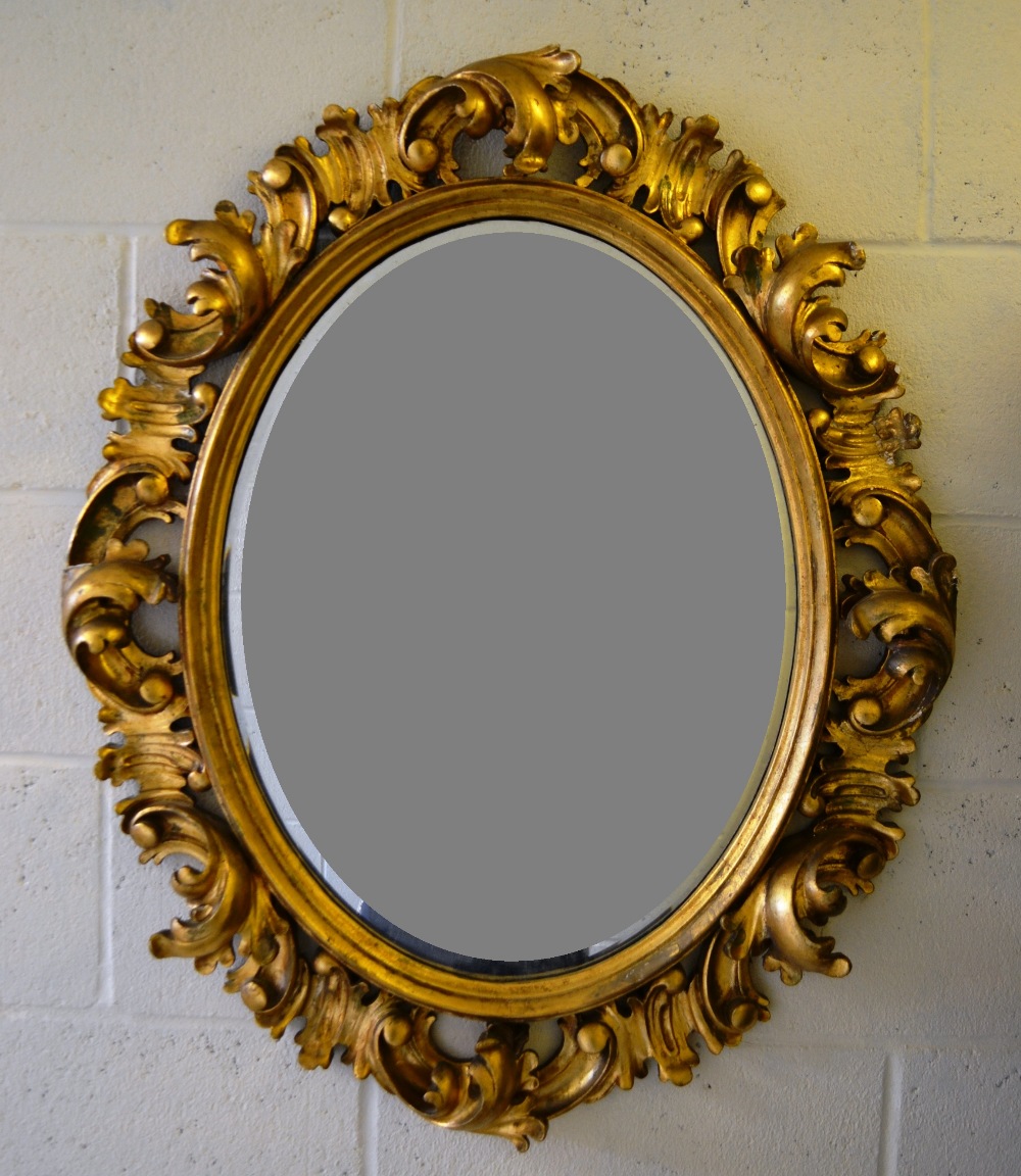 A nineteenth century continental carved gilt wood rococo frame oval mirror, with a bevelled edge