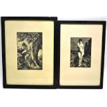 P de Piddoll, three black and white etchings of trees numbered and signed. 5in (13cm) x 3.5in (9cm),