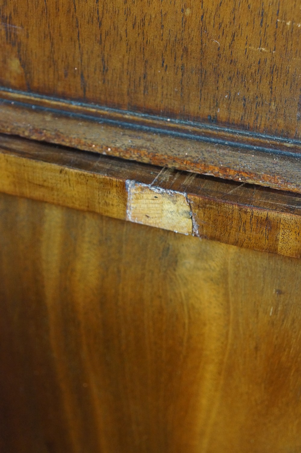 A George IV mahogany bookcase cupboard w - Image 3 of 5