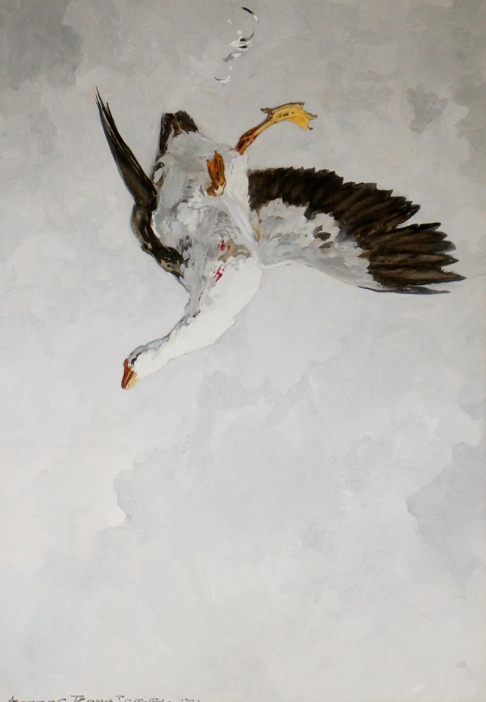 Harry Rowntree - a shot goose falling in flight, watercolour heightened with bodycolour,