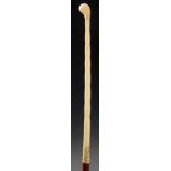An 19th Century ivory handled parasol, knop shaped terminal oak shaft,