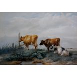 Thomas Sidney Cooper - cattle in a meadow, a summer scene, coloured mezzotint, 37cm x 54cm,