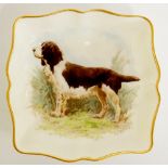 A Royal Crown Derby shaped square pin tray printed and painted with a retriever by C. Gresley, 7.