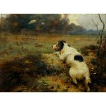 Alfred Strutt - terrier chasing a field of rabbits, oil on canvas, signed lower left, 44cm x 60cm,