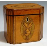 A Sheraton period satinwood tea caddy the hinged lid with shaded shell patera on a hare wood ground,