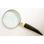 A large magnifying glass with silver ferrule, ivory and stag horn handle,