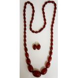 A good set of 55 graduated amber beads of oval shape, cherry coloured, smallest bead 1.