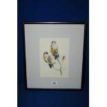 A framed and mounted Watercolour of Gold