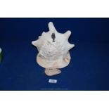 A huge Shell together with a terracotta oil Lamp, a/f