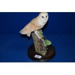 A Border Fine Arts figure of a Barn Owl.  11'' tall