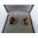 Sterling silver baltic amber earrings