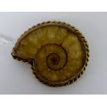 Plated fossil ammonite brooch