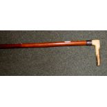 Antler handled malaca walking cane with white metal collar