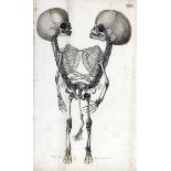 Medizin - Anatomie - - Walter, Johann Gottlieb. Observationes anatomicae. Mit gestochener