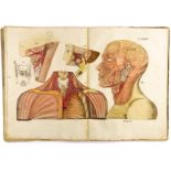 Medizin - Anatomie - - Münz, Martin. Abbildungen zur Gefaeslehre auf drey und zwanzig