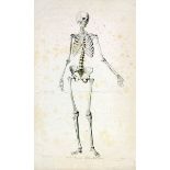 Medizin - Anatomie - - Soemmerring, Samuel Thomas. Tabula sceleti feminini iuncta descriptione.