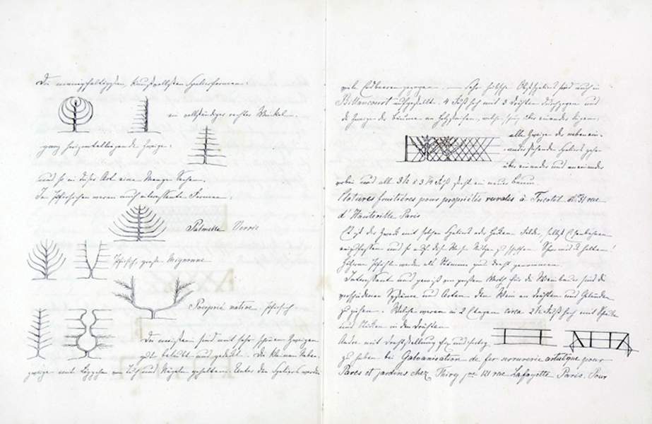 Weltausstellung - - Behncke, Heinrich Leo. Reise nach Paris zur Weltausstellung 1867. Mit