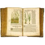Biologie - Botanik - - Bock, Hieronymus. Kreutterbuch, darin underscheidt, Namen und Würckung der