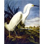 Biologie - Zoologie - - Audubon, John James. Birds of America. By Roger Tory Peterson & Virginia