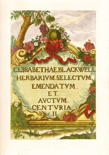 Biologie - Botanik - - Blackwell, Elisabeth. Vermehrtes und verbessertes Blackwellisches Kräuterbuch