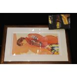 AYRTON SENNA BOOK AND FRAMED PRINT - Memories and Mementoes from a Life Lived at Full Speed by