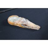 TAXIDERMY - ALIGATOR HEAD - A Alligator head that has been made into an ashtray (contains a glass