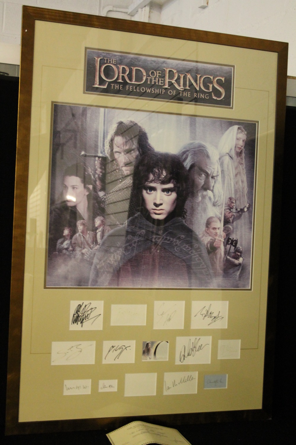 LORD OF THE RINGS FRAMED AUTOGRAPHS - a professionally framed group of Lord of the Rings autographs