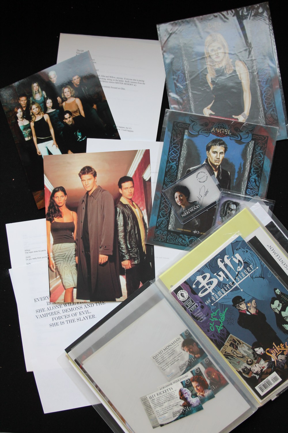 BUFFY THE VAMPIRE SLAYER - a selection of Buffy the Vampire cast autographs (cards and photographs)