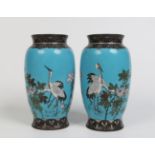 A pair of Japanese cloisonne mantel vases. Blue ground and decorated with cranes in continuing