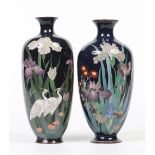 A pair of Japanese Meiji period cloisonne vases. Dark blue ground and decorated with birds, irises