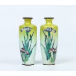 A pair of small Japanese Cloisonne high shouldered specimen vases. Pale green ground and decorated
