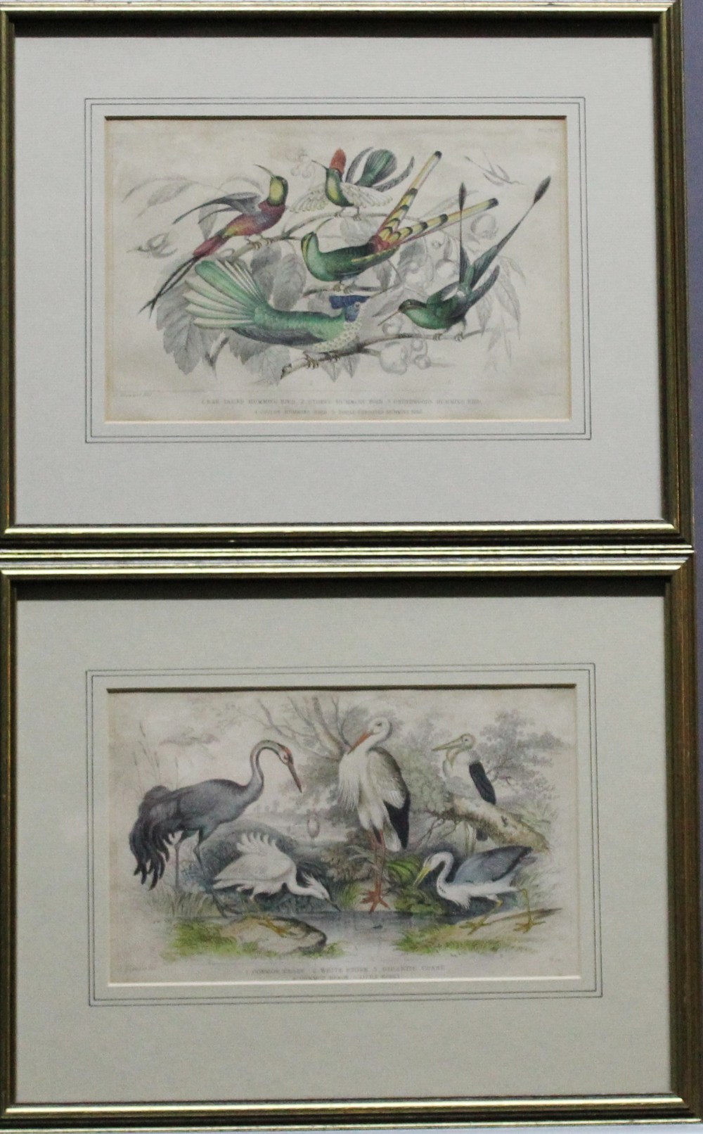 A SET OF EIGHT EARLY VICTORIAN HAND-COLOURED ORNITHOLOGICAL ENGRAVINGS after J Stewart, various