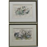 A SET OF EIGHT EARLY VICTORIAN HAND-COLOURED ORNITHOLOGICAL ENGRAVINGS after J Stewart, various