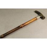 A VICTORIAN BUFFALO HORN HANDLED WALKING STICK having a shaped horn handle with plain silver